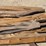 l3---cedar-posts-image-3