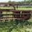 new-idea-402-image-13