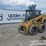 caterpillar-246-image-2