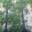 new-universal-mount-bale-spear-image-3