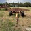 shop-built-trailer-image-2