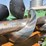 2012-john-deere-612c-stalkmaster-image-14