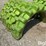 rhinogator-11.2-38-pivot-tires-image-14