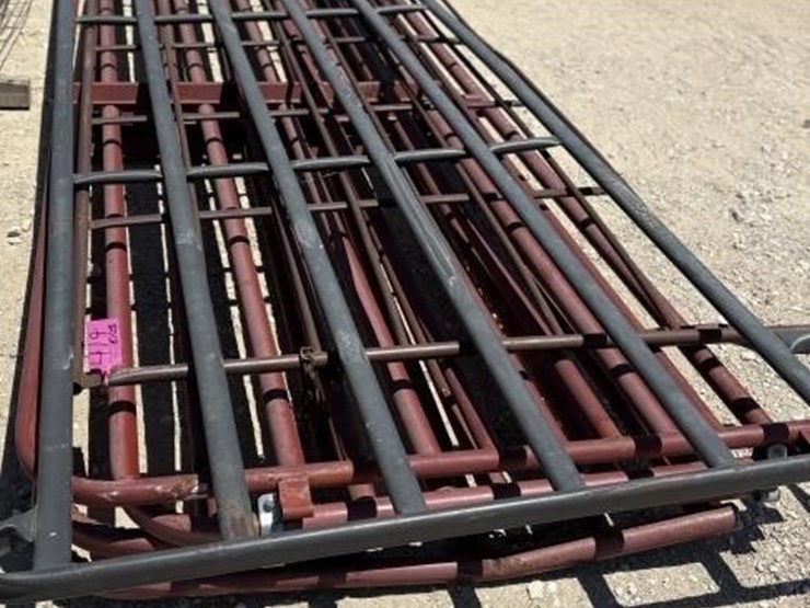 l3---light-to-med-cattle-panel-image-4
