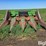 john-deere-5460-image-2