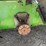 2019-john-deere-gator-image-7