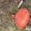 kuhn-gmd700gii-hd-image-9