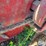 case-ih-810-image-20