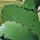 john-deere-16a-image-8