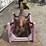 rocking-horse-image-2