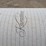 roll-of-carpet---unknown-square-footage-image-8