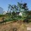 john-deere-980-image-1