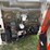 bobcat-s300-image-7