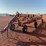 sitrex-magnum-evolution-rake-image-8