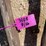 l3---cedar-posts-image-5