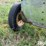 john-deere-lf-image-16