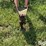 new-idea-402-image-10