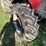 case-ih-farmall-95-image-5
