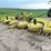 2019-john-deere-770-image-1