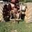 farmall-350-diesel-tractor-image-8