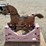 rocking-horse-image-3