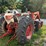 case-1290-mfwd-tractor-image-9