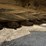 new-idea-5312-image-10