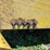 1985-john-deere-4rc-image-15