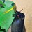 2018-john-deere-2018-image-25