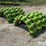 rhinogator-11.2-38-pivot-tires-image-1