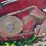 case-ih-810-image-17