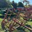 folding-tine-harrow-image-4