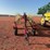 sitrex-magnum-evolution-rake-image-2
