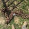 august-farm/construction-consignment-image-5