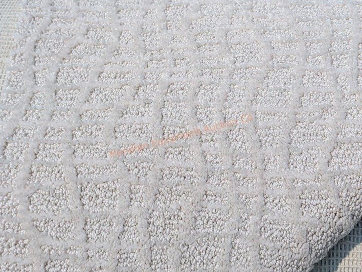 roll-of-carpet---unknown-square-footage-image-6
