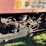 farmall-350-diesel-tractor-image-5