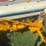1965-international-cub-image-5
