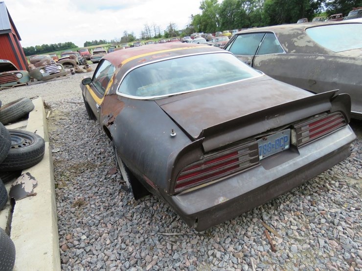 1977-pontiac-firebird-image-5