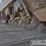 2019-caterpillar-336-image-18