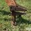 new-idea-402-image-11