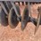 case-ih-490-image-12