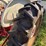 ford-tractor-image-9