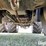 2012-new-holland-t9.505-image-18