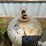 steel-100lb-propane-tanks-image-10