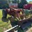 allis-chalmers-d15-series-ii-tractor-image-3