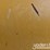 2019-caterpillar-336-image-79