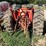 ih-574-gas-tractor-image-8