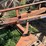 h&s-12-wheel-bi-fold-rake-image-6