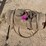 l3---solar-sprayer-image-2