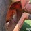 allis-chalmers-d17-image-11
